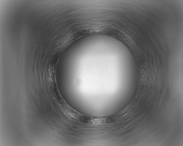 X0000052560126200507152236