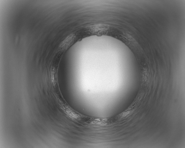 X0000052560138200507152236