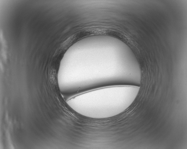X0000052560141200507152236
