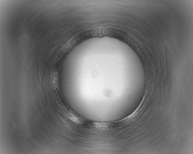 X0000052560144200507152236