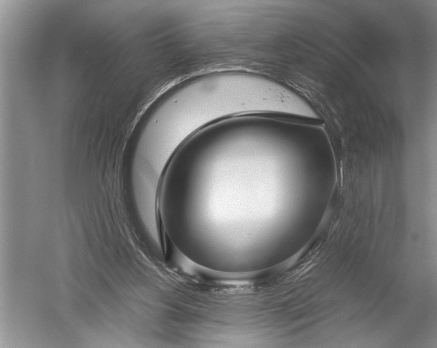 X0000052560156200507152235