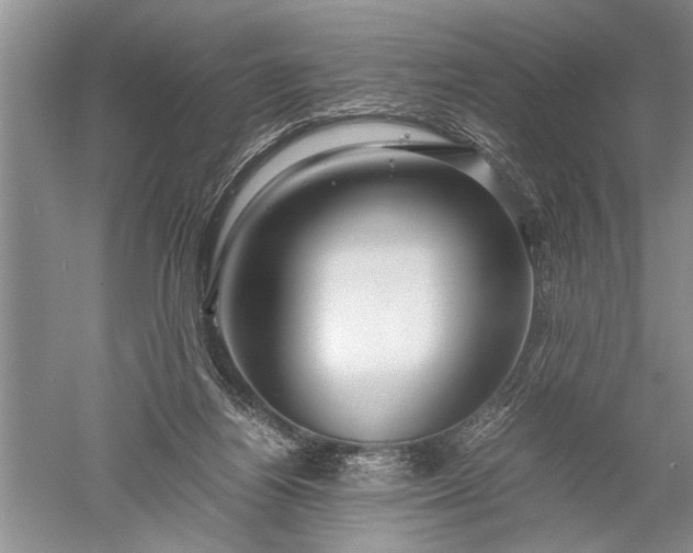 X0000052560164200507152235