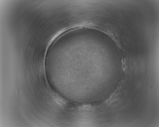X0000052560196200507152235