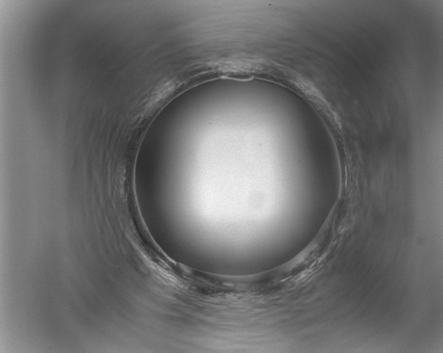 X0000052560201200507152235