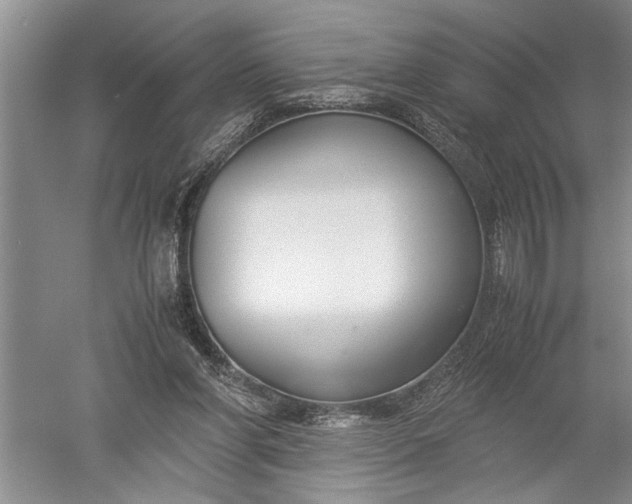 X0000052560206200507152235