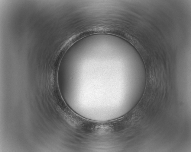 X0000052560208200507152235