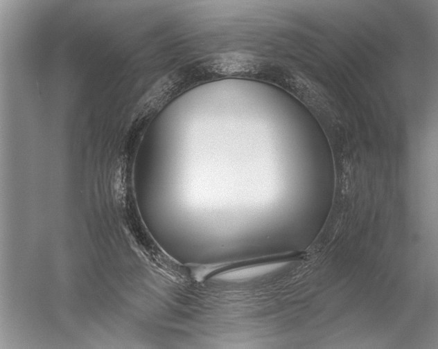 X0000052560210200507152234