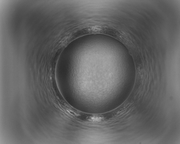 X0000052560223200507152234