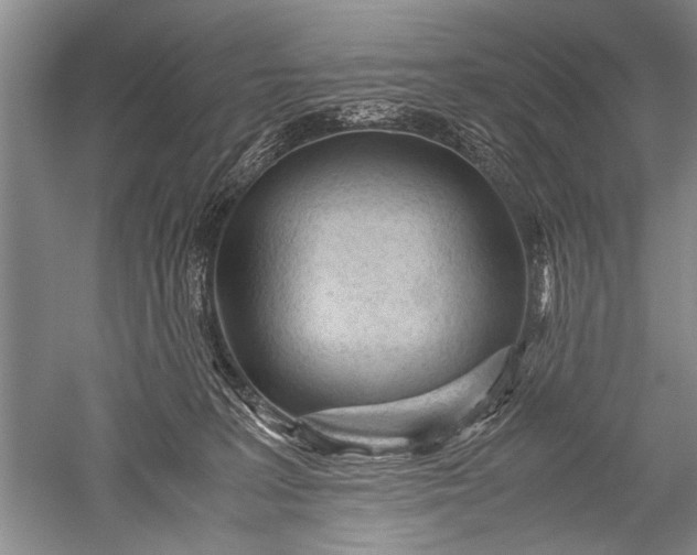 X0000052560227200507152234