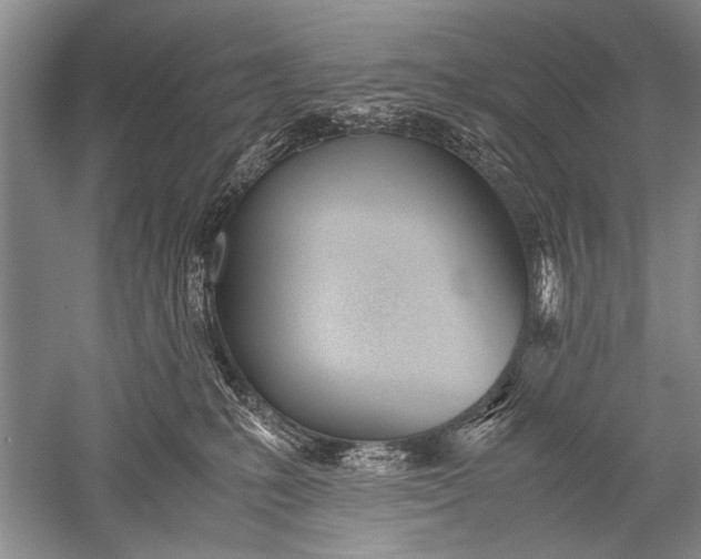 X0000052560231200507152234