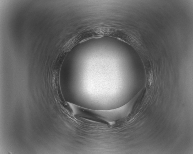 X0000052560233200507152234