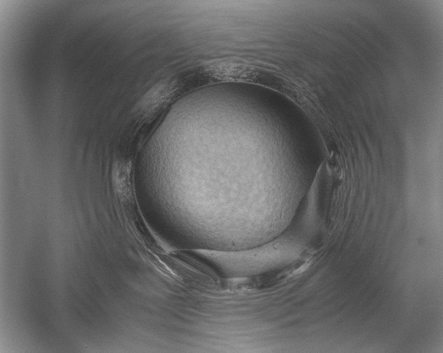 X0000052560239200507152234