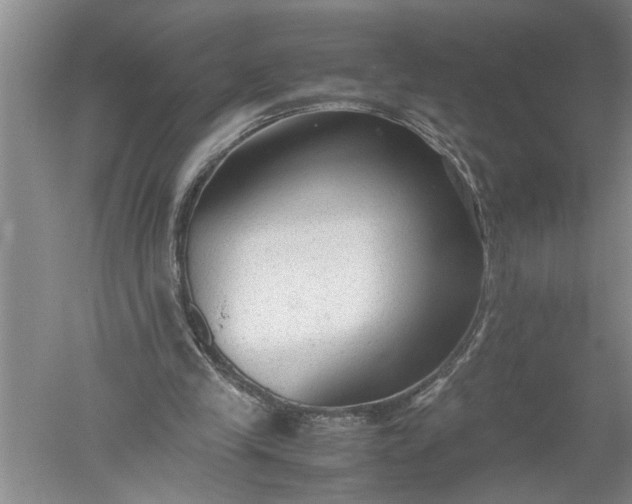 X0000052560245200507152233