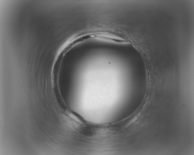 X0000052560246200507152233