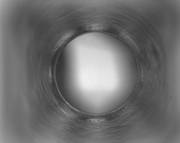 X0000052560251200507152233