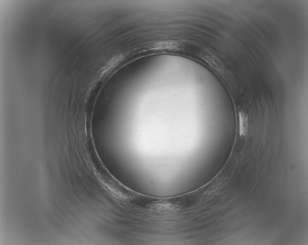 X0000052560253200507152233