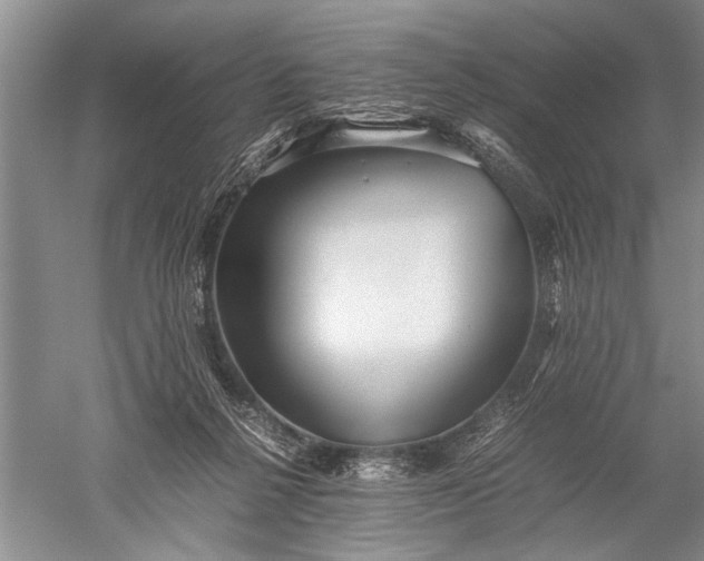 X0000052560264200507152234