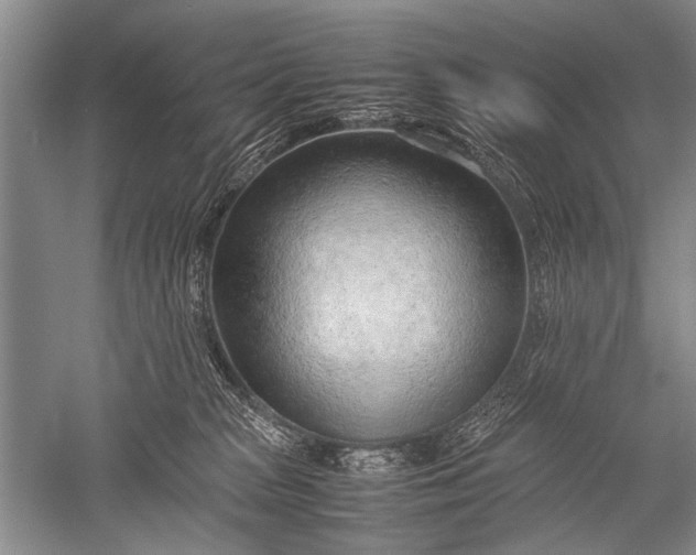 X0000052560277200507152234