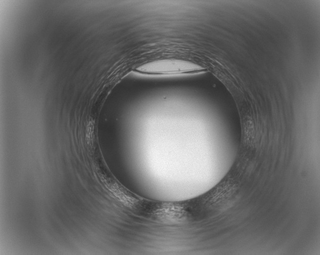 X0000052560278200507152234