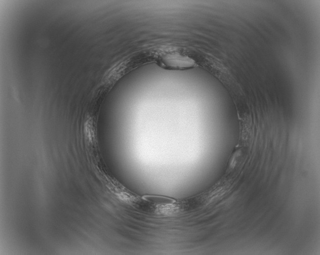 X0000052560287200507152234