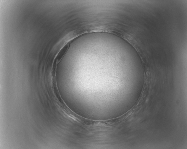 X0000052560290200507152233