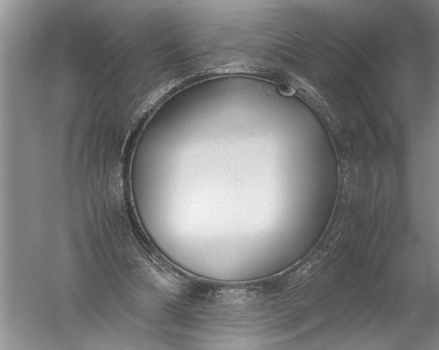 X0000052560298200507152233