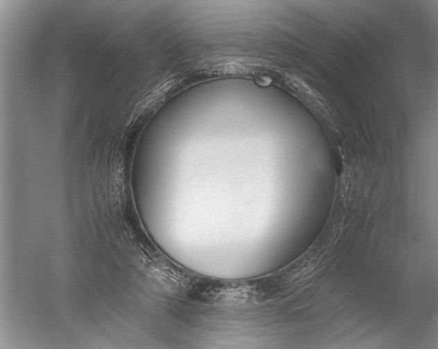 X0000052560306200507152233