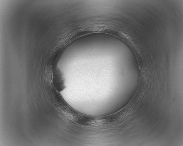 X0000052560307200507152233