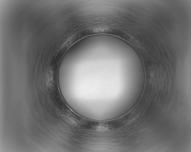 X0000052560308200507152233