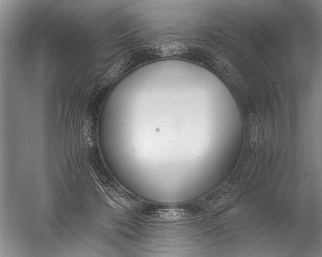 X0000052560316200507152233