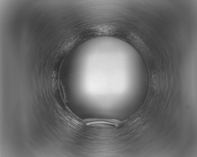 X0000052560318200507152233