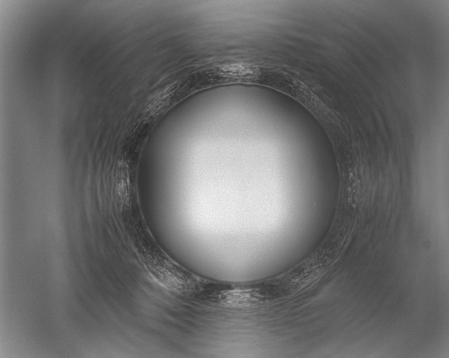 X0000052560320200507152233