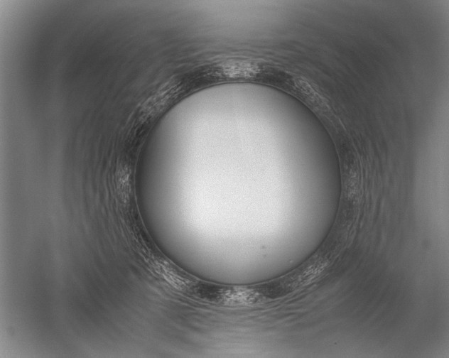 X0000052560321200507152233