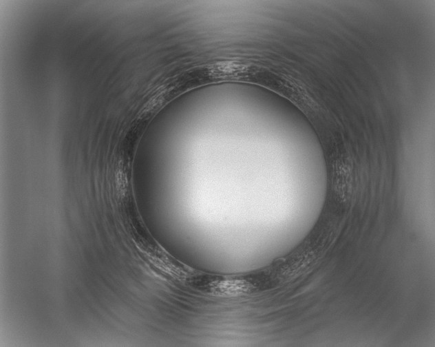X0000052560324200507152233