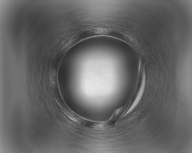 X0000052560325200507152233
