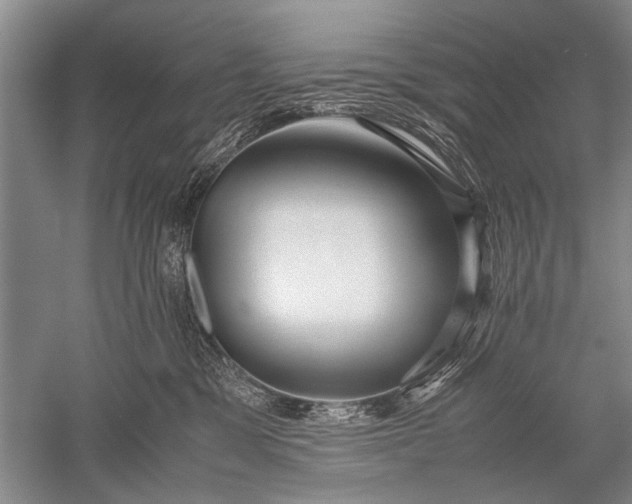 X0000052560329200507152232