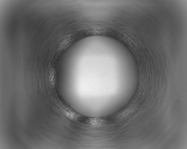 X0000052560336200507152232
