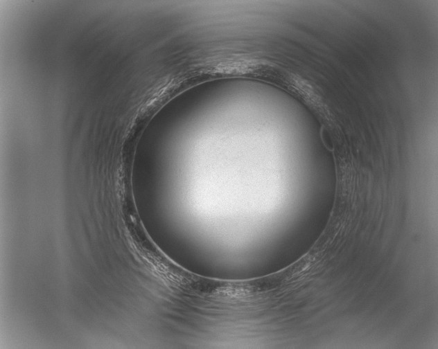 X0000052560354200507152232