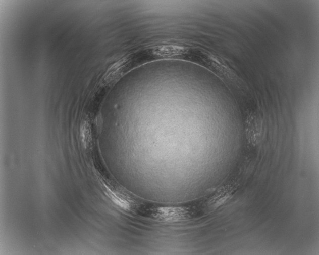 X0000052560371200507152232
