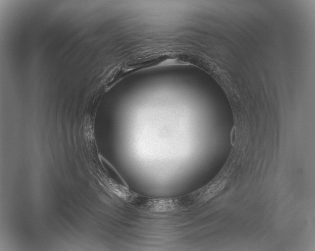 X0000052560384200507152232