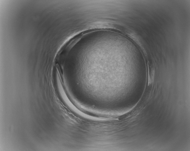 X0000052560387200507152231