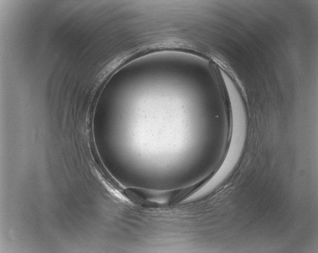 X0000052560389200507152231
