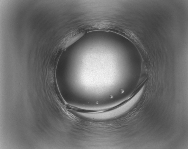 X0000052560393200507152231