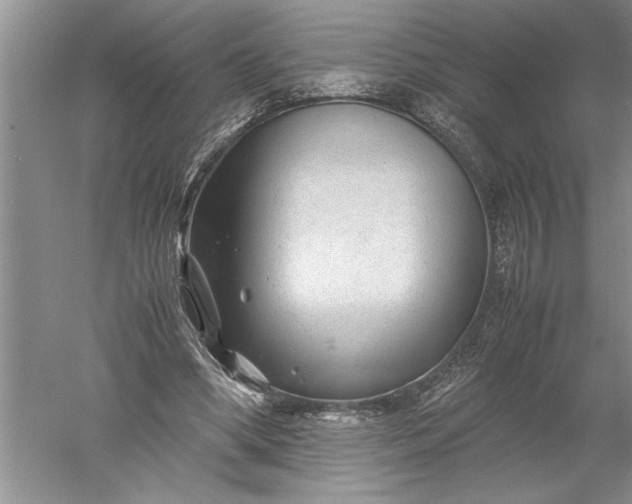 X0000052560394200507152231