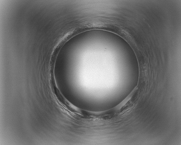 X0000052560395200507152231