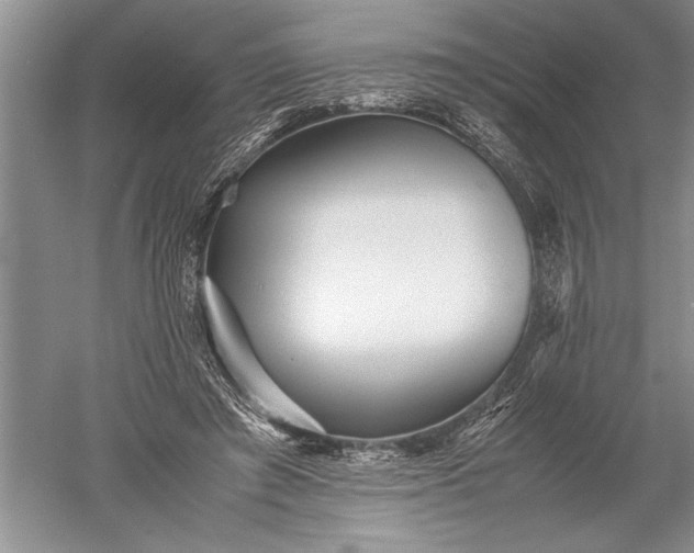X0000052560401200507152231