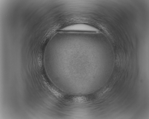 X0000052560402200507152231