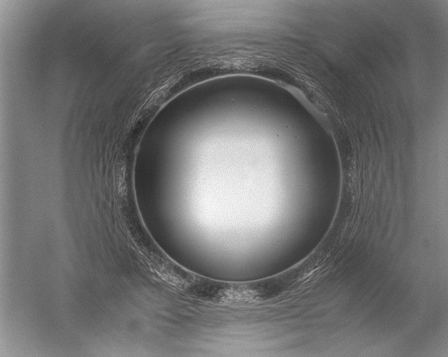 X0000052560403200507152231