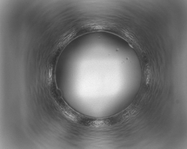 X0000052560406200507152231