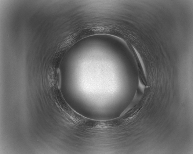 X0000052560416200507152231